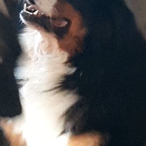 Meet your Posher, Danita